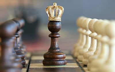 Successful e-Commerce Strategies